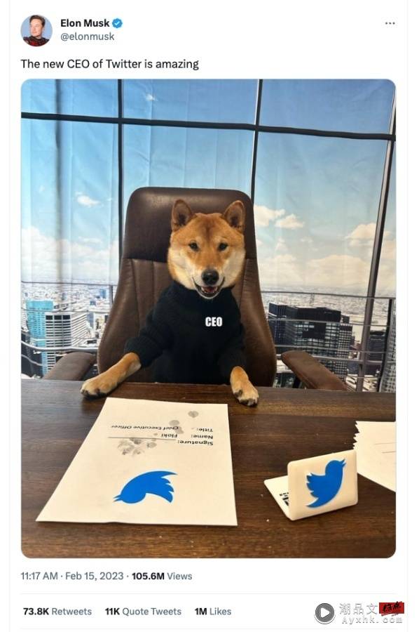 Twitter 新任 CEO 带动狗狗币上涨？马斯克推文连发：这家伙超级棒 雷厉风行数学又好！ 数码科技 图1张